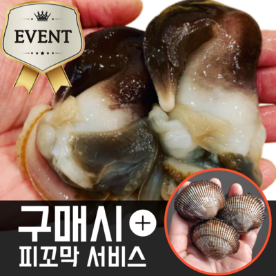  [특등품] 여수 새조개 완전손질 실중량 2.5kg 샤브샤브 횟감, 1개, 500g _신선한 맛 돋우는 새조개