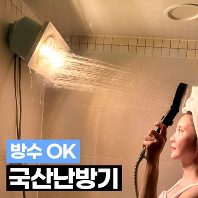 뚝딱 국산 화장실 전기 난방기 방수 난로 온열기 가정용 욕실 히터 난방등 2구 3구 온풍기, 적색2구 히터(1~2평형)
