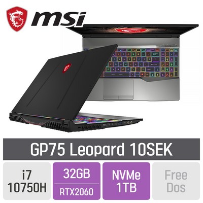 MSI 게이밍 GP75 Leopard 10SEK, SSD 1TB, 미포함, 32GB