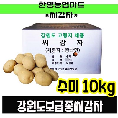  강원도 정품 씨감자 수미 대서 두백 20kg 10kg 4kg 씨앗사은품증정, 수미10kg(반찬용씨감자) _신선하고 맛있는 수미씨감자