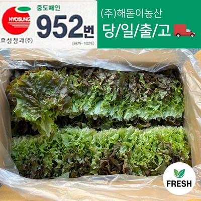 <해돋이농산> 꽃상추 2kg내외 4kg내외(상), 2kg, 1박스”></center>
    </td>
<td style=