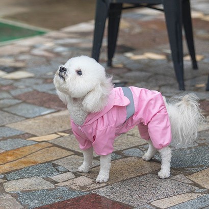 강아지 개맑은 우비