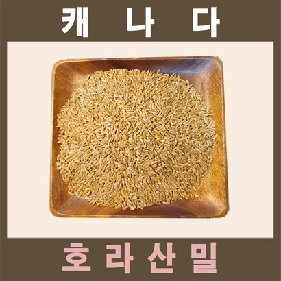 The큰나무  캐나다산 라산밀  착한 탄수화물