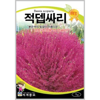 적뎁싸리  /관상용 야생화 텃밭 키우기 봄 꽃씨 종자 씨앗 리뷰후기