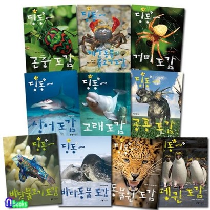 [전집] 집중력을 키워주는 딩동 도감 베스트/전10권/곤충도감거미해안동물과물고기공룡고래상어도감동물원도감펭귄바다동물바다물고기