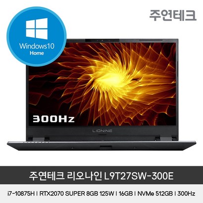 [WIN10홈]주연테크 리오나인 L9T27SW_300E 173"/10th/i7/RTX2070-SUPER 125W/16G/NV512G/IPS/300Hz/썬더볼트3/게이밍노트북 리뷰후기