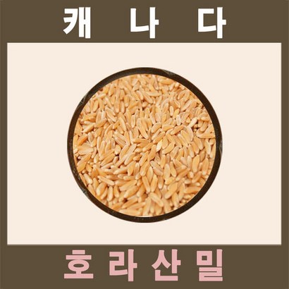 캐나다산 라산밀 x 착한 탄수화물 수입사직판