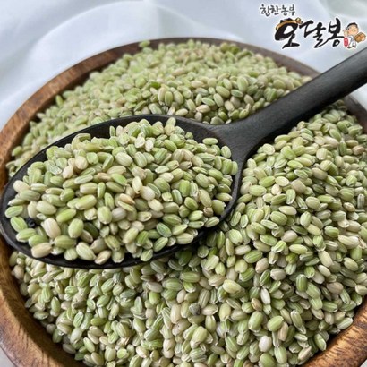 특품 2022년 햇 국산 녹미 녹진주 녹색쌀
