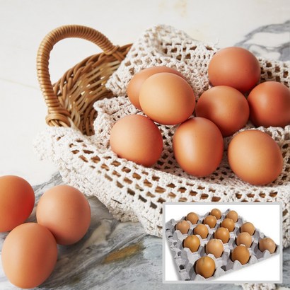 에그트리농장 생계란 왕란 15구 당일산란 농장직송 싱싱한 달걀