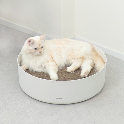 펫펫펫 고양이 스크래쳐 초대형 원형 본품