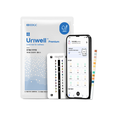 EDGC 유리웰 소변검사 스틱 키트 12종 소변검사지 단백뇨 당뇨 단백질 포도당 PH 잠혈 1개입(1TEST), 1세트
