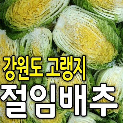 강원도 고랭지 절임배추  국내산 90일 배추 79포기 내외 세척 포장 리뷰후기