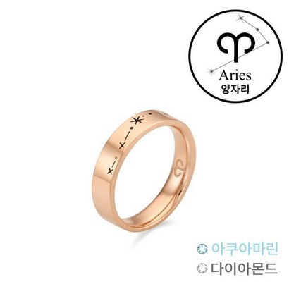 [주문제작] OST 밤하늘의 별자리 양자리 커플링 OTRF213073
