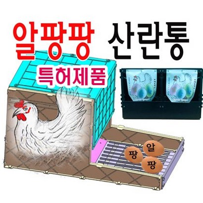 특허제품 알팡팡 닭산란통 5구 5마리용 플라스틱 재질 닭산란통 닭알통 닭알낳는통 닭산란장 닭둥지 닭알낳는둥지 닭알통짓기 닭산란장만들기 닭알 양계재료 축산자재 닭사료통 병아