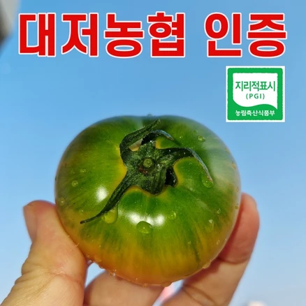 산해담은 정품 대저 짭짤이 토마토 프리미엄 로얄과, 1박스, 2.5kg(3S사이즈)