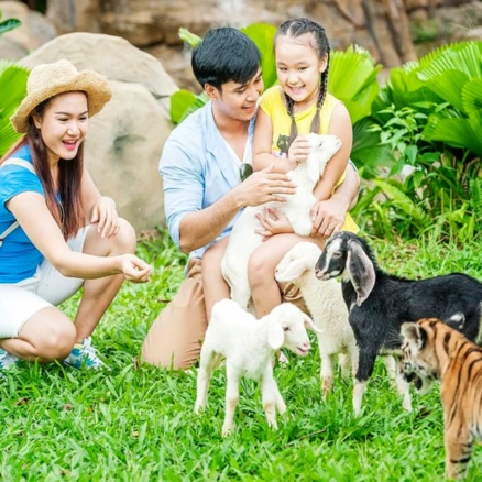 [푸꾸옥] 빈펄 푸꾸옥 사파리 + 빈원더스 콤보티켓 QR코드바로입장