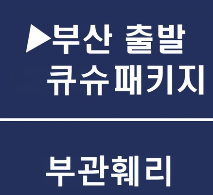 [부산출발] [북큐슈][투어민족] 부관훼리 후쿠오카 시내숙박+자유식사 4일