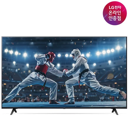 LG전자 LG UHD TV 65UR8300ENA 163cm 울트라HD, 벽걸이형