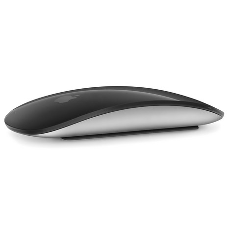 Apple 2021년 Magic Mouse, 블랙-추천-상품