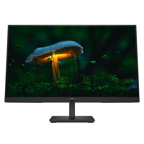 HP 프로 디스플레이 P24v G5 FHD 모니터, 60cm, HP P24v G5 FHD Monitor-추천-상품