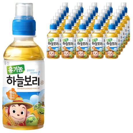 웅진 유기농 하늘보리차, 보리차, 200ml, 48개-추천-상품