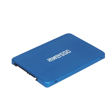 리뷰안 900G 비즈 SATA SSD, 1TB, 900G비즈-추천-상품
