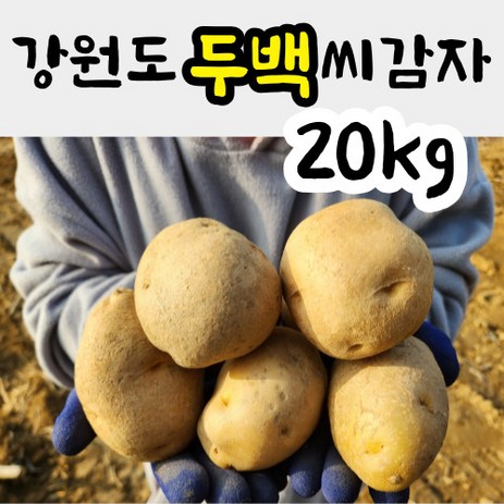 강원도 씨감자 두백 (쪄먹는용/튀김용) 20kg 분감자 감자씨 감자종자, 두백씨감자 20kg, 1개-추천-상품