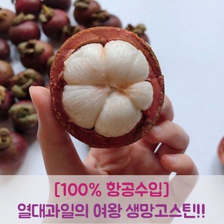 프루틴 생 망고스틴 태국 항공수입 로얄과, 2.5kg (로얄과, 20~40과), 1개-추천-상품