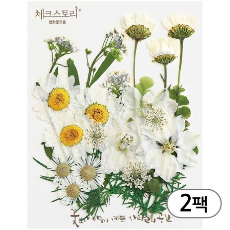 체크스토리 압화 컬러믹스 꽃모음 압화공예 2팩, 화이트-추천-상품