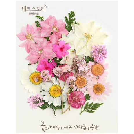 체크스토리 압화 컬러믹스 종합팩 꽃모음 23p 세트, 핑크1-추천-상품