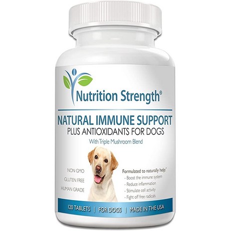 Nutrition Strength Immune Support for Dogs Plus Antioxidant Reishi Shiitake Maitake Turkey Tail Mushrooms for Dogs with Coenzyme Q10 Nutritional Suppo, 1, 기타-추천-상품