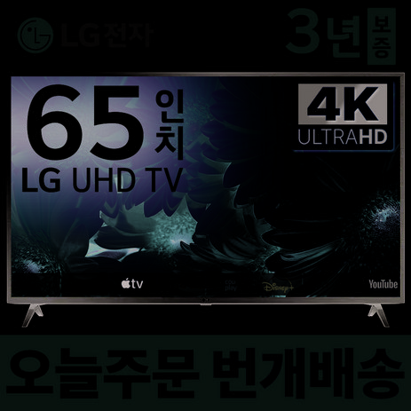 LG전자 65인치 TV 4K 울트라HD UHD 스마트 티비 65UQ8000 넷플릭스 유튜브 디즈니 미러링, 3.수도권벽걸이(상하브라켓)-추천-상품