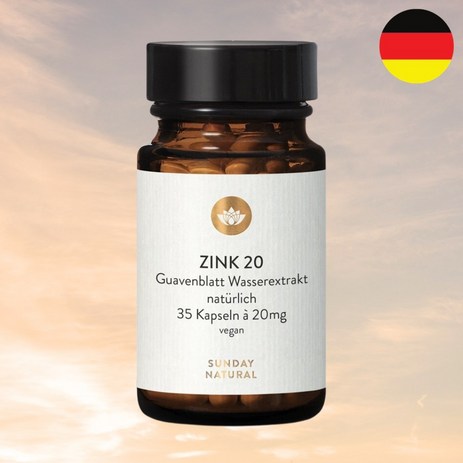 독일 구아바잎추출물 500mg 35캡슐 코앤 코엔 타블렛 구아바추출물등복합물 노스릴리브, 35정, 1개-추천-상품