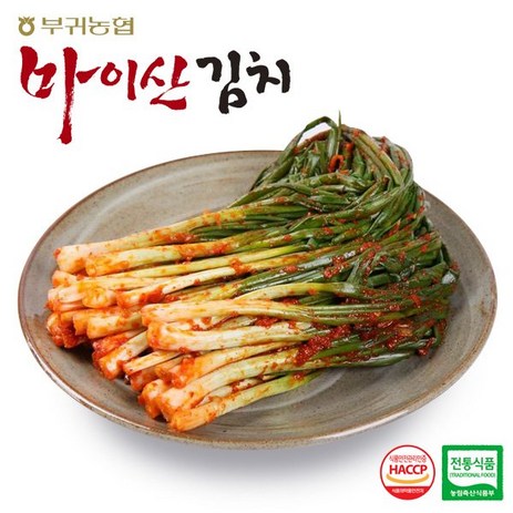 마이산김치 한국농협김치 전북 대표김치 마이산 파김치1kg -인증, 1개, 1kg-추천-상품