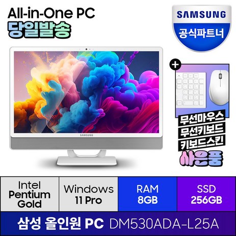 삼성전자 올인원 일체형 PC 프로스트 화이트 DM530ADA-L25A (펜티엄골드 7505 60.5cm WIN11 Pro) 기업용 사무용 학습용, RAM 8GB + SSD 256GB-추천-상품