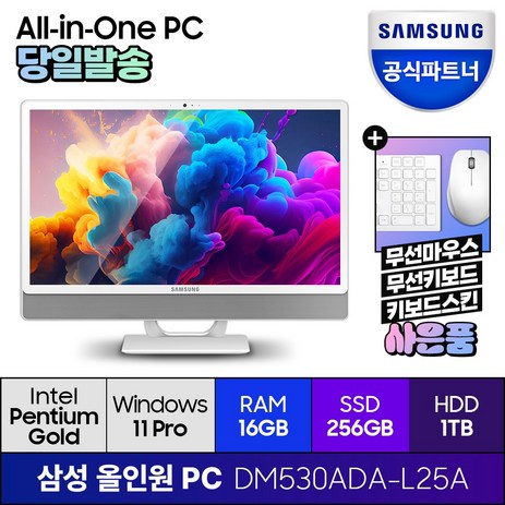 삼성전자 올인원 일체형 PC 프로스트 화이트 DM530ADA-L25A (펜티엄골드 7505 60.5cm WIN11 Pro) 기업용 사무용 학습용, RAM 16GB + SSD 256GB + HDD 1TB-추천-상품