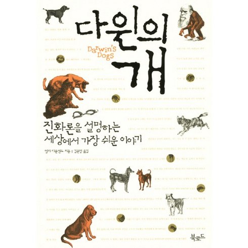 자연과학도서 - 다윈의 개:진화론을 설명하는 세상에서 가장 쉬운 이야기, 북로드, 엠마 타운센드 저/김은영 역