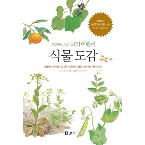 식물도감 - 식물 도감:초등학교 전 학년 전 과목 교과서에서 뽑은 160가지 식물 이야기, 보리