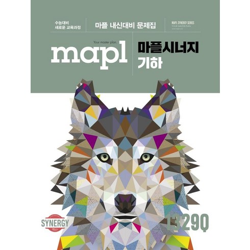 마플시너지 기하 (2024년):마플 내신대비 문제집, 희망에듀