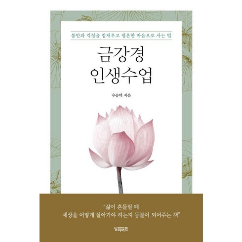 금강경 - 금강경 인생수업:불안과 걱정을 잠재우고 평온한 마음으로 사는 법, 빌리버튼, 우승택