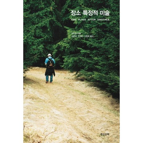 장소 특정적 미술, 현실문화, 권미원 저/김인규,우정아,이영욱 공역