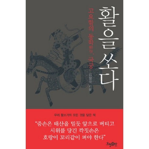 활을 쏘다, 효형출판, 김형국 저
