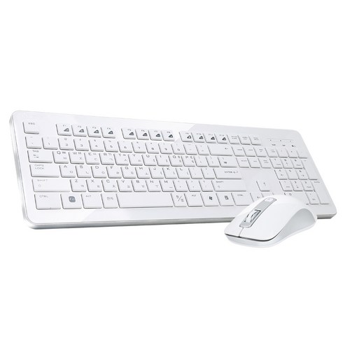 라이센스LG 무선 키보드 마우스 세트, MKS-3000, 화이트, 일반형
