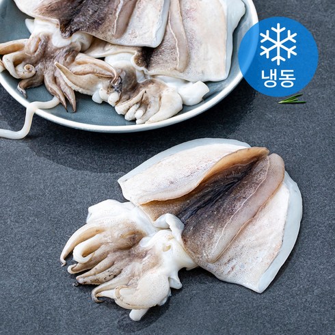 피시원 국내산 손질 갑오징어 3~4미 (냉동), 700g, 1개