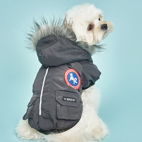 도그아이 반려견 패딩, 진회색