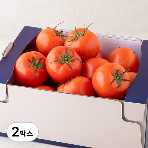 스마트팜 주스용 토마토, 5kg, 2박스