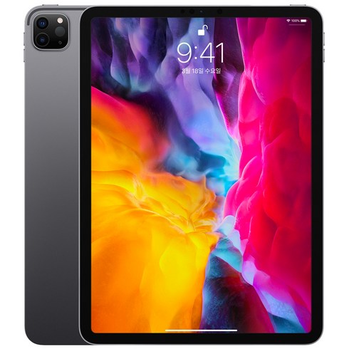 Apple iPad Pro 11 2세대, 스페이스 그레이, 256GB, Wi-Fi