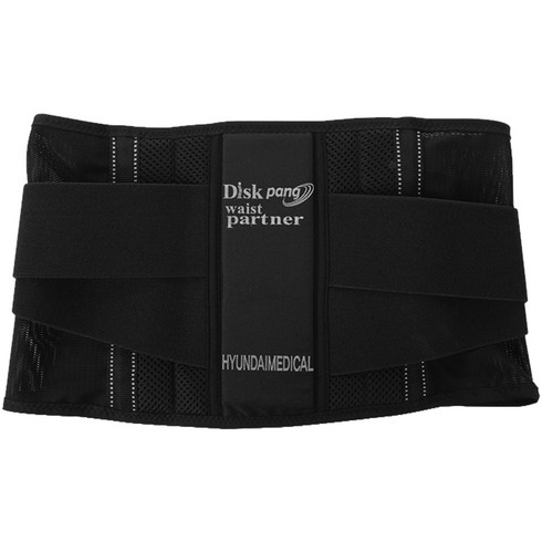 척추측만증보조기 - 현대메디칼 디스크팡 수동식 정형용 허리보호 벨트 L, 1개
