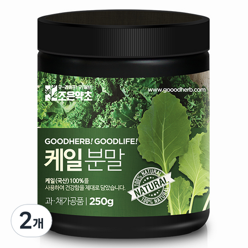 케일분말 - 조은약초 케일 분말, 250g, 2개