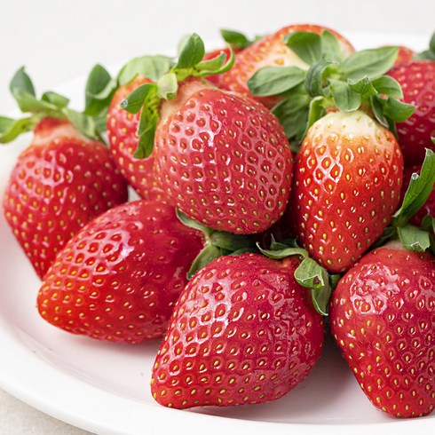 강서시장 새벽경매 설향 딸기, 500g, 1팩
